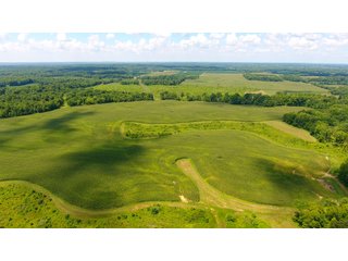 Property photo 41 - LAND AUCTION - 1,193+/- ACRES IN 14 TRACTS IN PIKE & GIBSON COUNTY, INDIANA